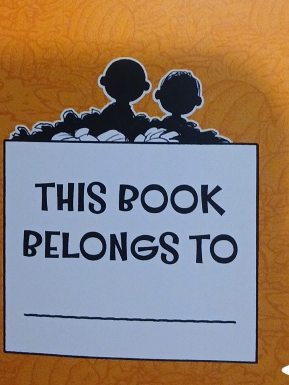 Peanuts -Plush Snoopy With Halloween Tee shirt & 25 Page, The Great Pumpkin book - Picture 5 of 10